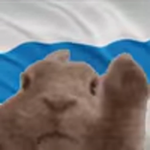 🇷🇺 Эмодзи «Rabbit Vibe» для Telegram