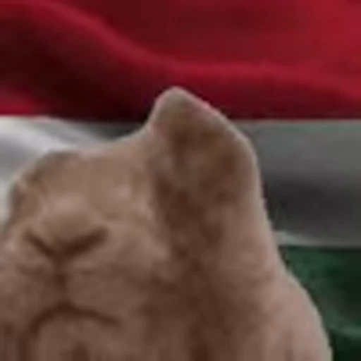 🇭🇺 Эмодзи «Rabbit Vibe» для Telegram