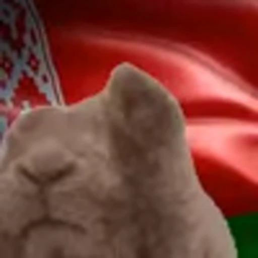 🇧🇾 Эмодзи «Rabbit Vibe» для Telegram