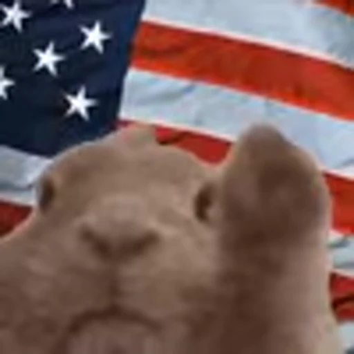 🇺🇸 Эмодзи «Rabbit Vibe» для Telegram