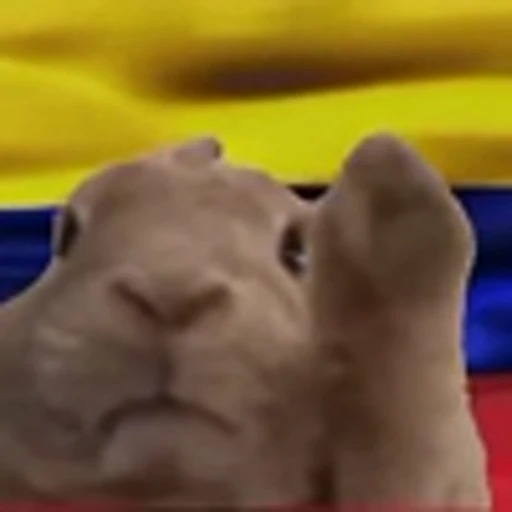 🇻🇪 Эмодзи «Rabbit Vibe» для Telegram