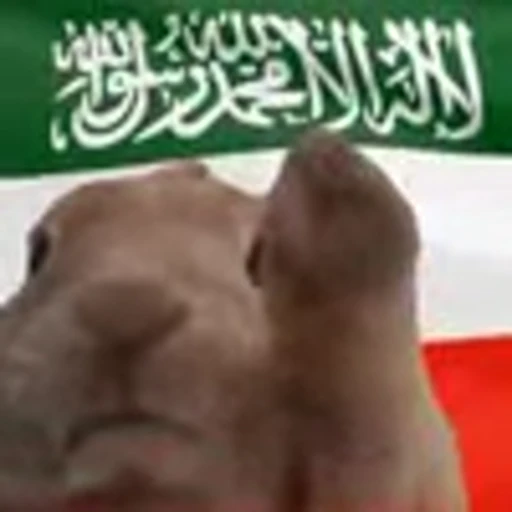 🇸🇴 Эмодзи «Rabbit Vibe» для Telegram