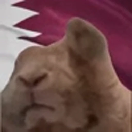 🇶🇦 Эмодзи «Rabbit Vibe» для Telegram