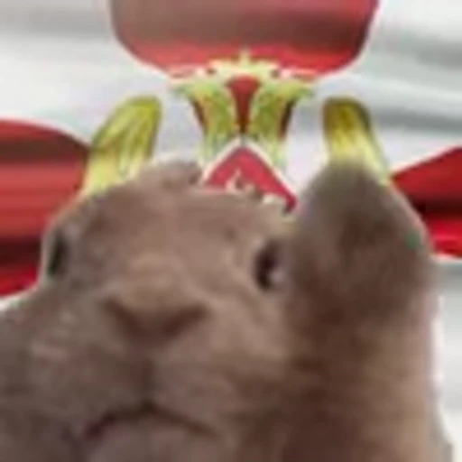 🇷🇺 Эмодзи «Rabbit Vibe» для Telegram