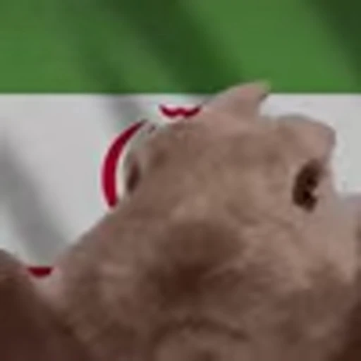🇮🇷 Эмодзи «Rabbit Vibe» для Telegram