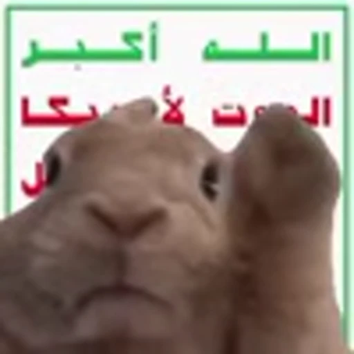 🇾🇪 Эмодзи «Rabbit Vibe» для Telegram