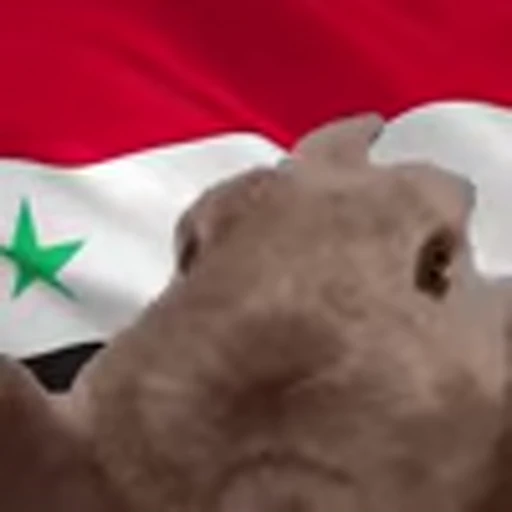 🇸🇾 Эмодзи «Rabbit Vibe» для Telegram