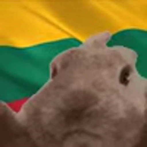 🇱🇹 Эмодзи «Rabbit Vibe» для Telegram