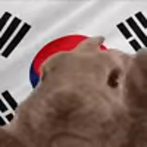 🇰🇷 Эмодзи «Rabbit Vibe» для Telegram