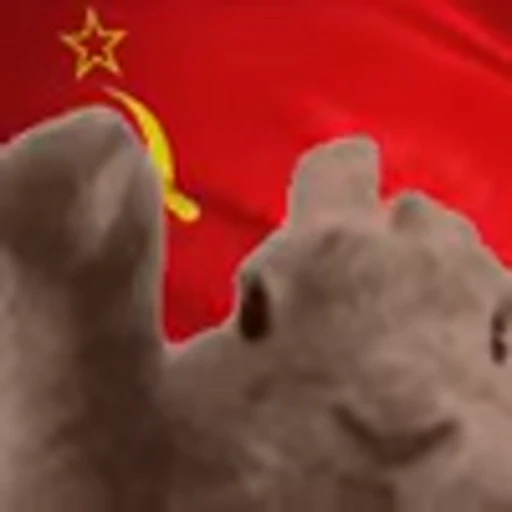🇷🇺 Эмодзи «Rabbit Vibe» для Telegram