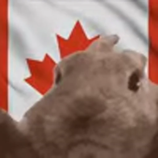 🇨🇦 Эмодзи «Rabbit Vibe» для Telegram