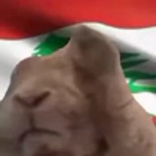 🇱🇧 Эмодзи «Rabbit Vibe» для Telegram