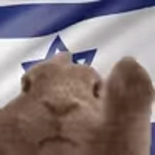 🇮🇱 Эмодзи «Rabbit Vibe» для Telegram