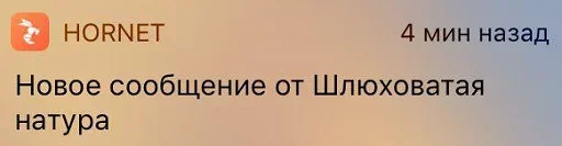 😉 Стикер «Hornet Phrases» для Telegram