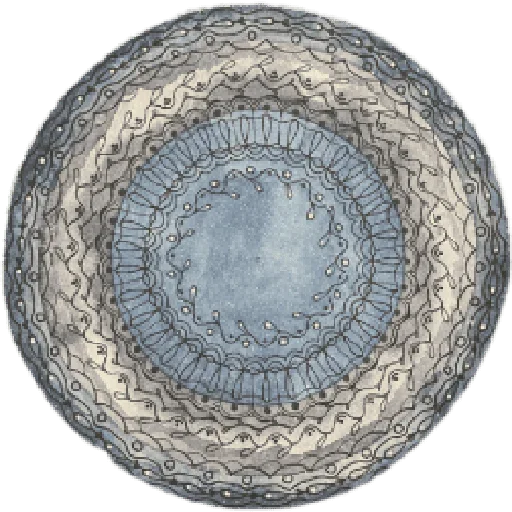 🌌 Стикер «Horoscope» для Telegram