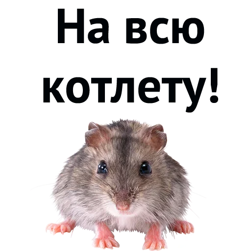 😣 Стикер «Хороший Трейд» для Telegram