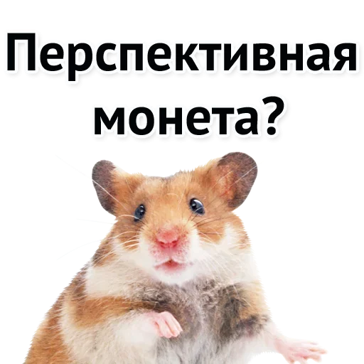 😩 Стикер «Хороший Трейд» для Telegram