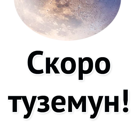 🥳 Стикер «Хороший Трейд» для Telegram
