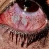 🫥 Эмодзи «Horror vibe» для Telegram