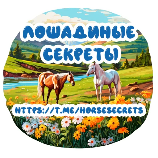 Стикерпак Horse Secrets для Telegram