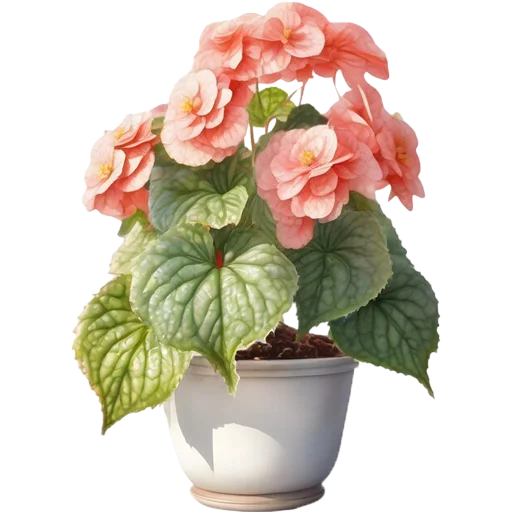 🪴 Стикер «House Plants» для Telegram