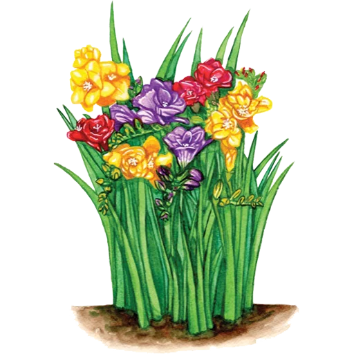 🌱 Стикер «House Plants» для Telegram