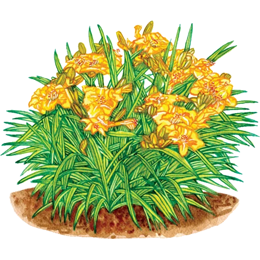 🌱 Стикер «House Plants» для Telegram