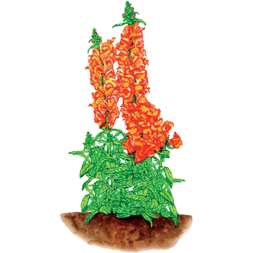 🌱 Стикер «House Plants» для Telegram