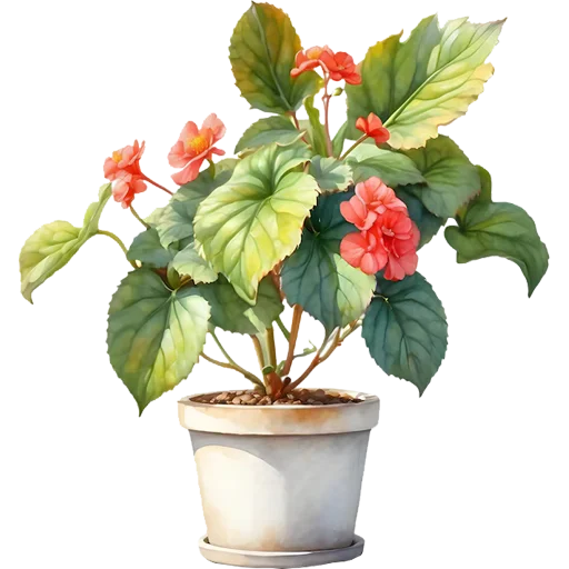 🪴 Стикер «House Plants» для Telegram