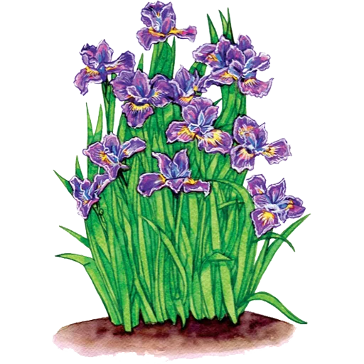🌱 Стикер «House Plants» для Telegram