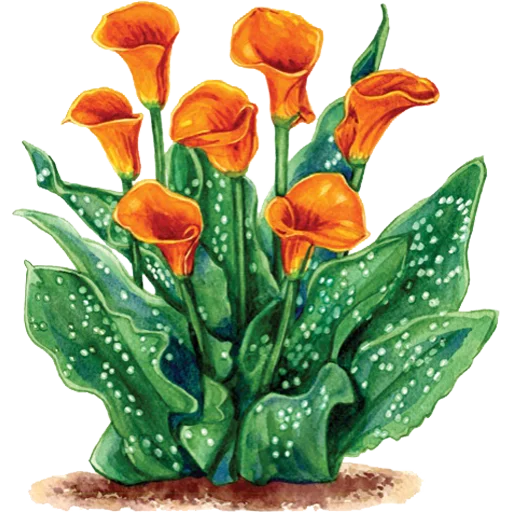 🌱 Стикер «House Plants» для Telegram