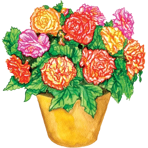 🪴 Стикер «House Plants» для Telegram