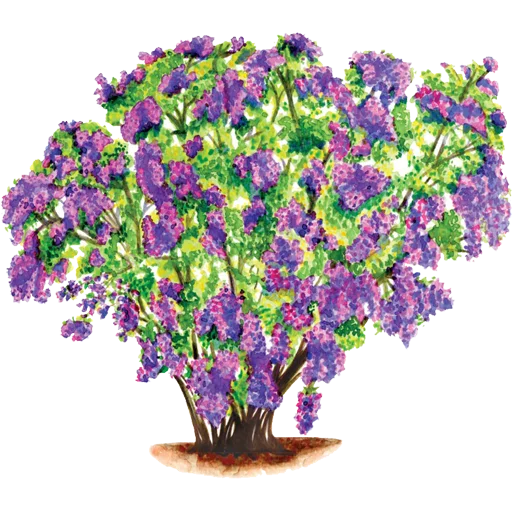 🌱 Стикер «House Plants» для Telegram