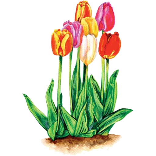 🌷 Стикер «House Plants» для Telegram