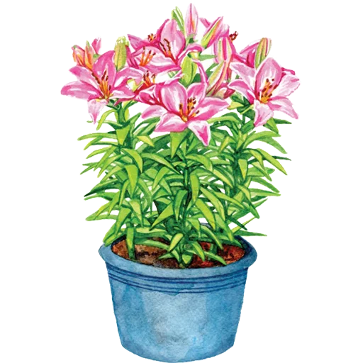 🪴 Стикер «House Plants» для Telegram