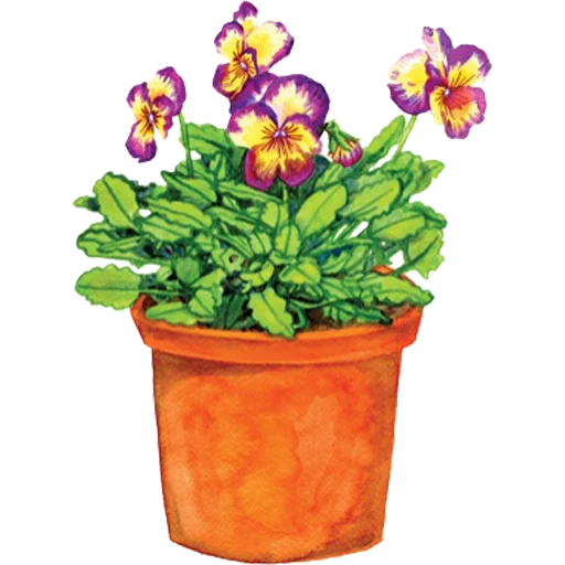 🪴 Стикер «House Plants» для Telegram