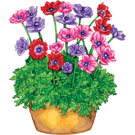 🪴 Стикер «House Plants» для Telegram