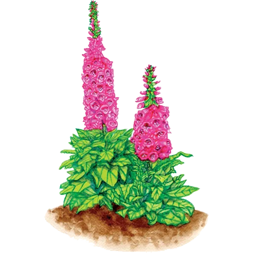 🌱 Стикер «House Plants» для Telegram