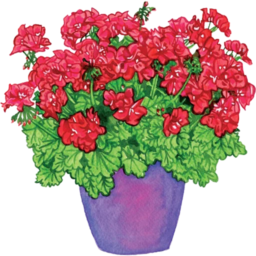 🪴 Стикер «House Plants» для Telegram