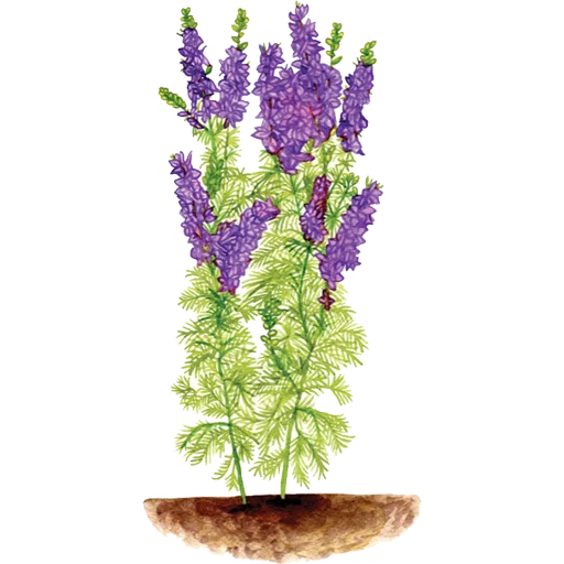 🌱 Стикер «House Plants» для Telegram