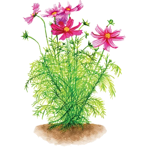 🌱 Стикер «House Plants» для Telegram