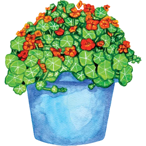 🪴 Стикер «House Plants» для Telegram