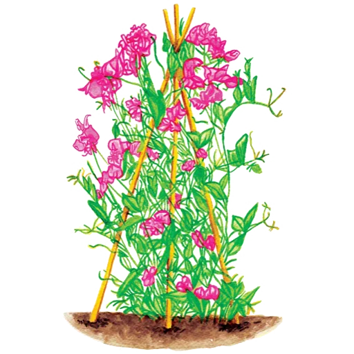 🌱 Стикер «House Plants» для Telegram
