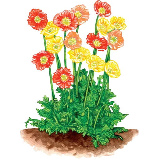🌱 Стикер «House Plants» для Telegram