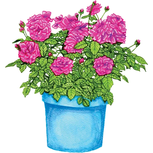 🪴 Стикер «House Plants» для Telegram