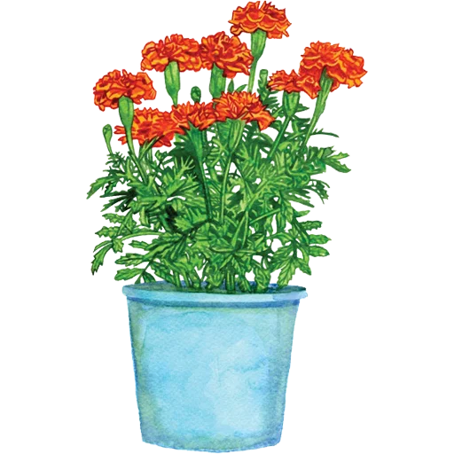 🪴 Стикер «House Plants» для Telegram