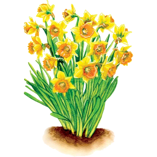 🌱 Стикер «House Plants» для Telegram