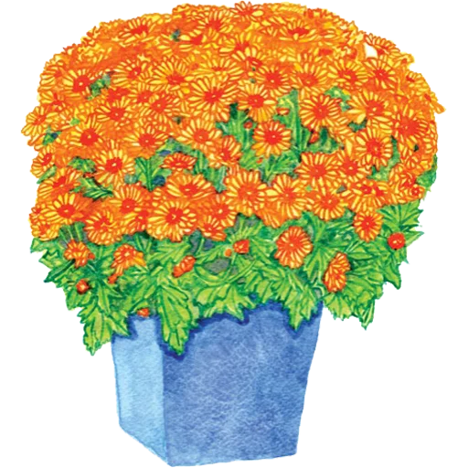 🪴 Стикер «House Plants» для Telegram