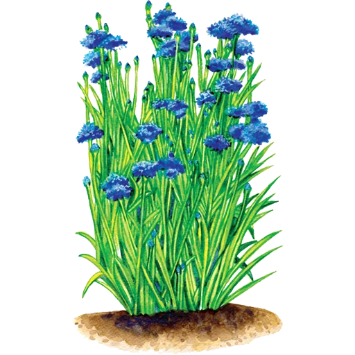 🌱 Стикер «House Plants» для Telegram