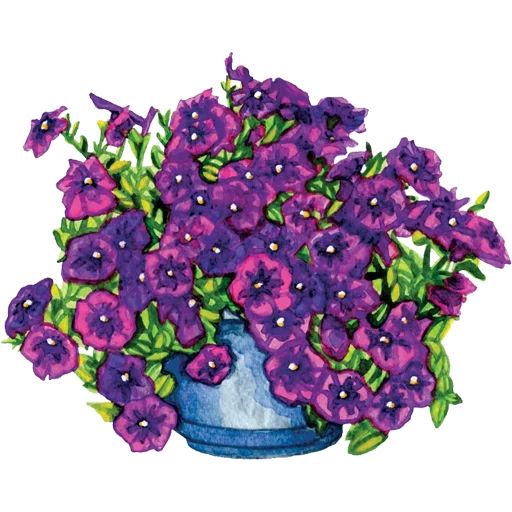 🪴 Стикер «House Plants» для Telegram